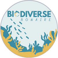 Biodiverse Bonaire