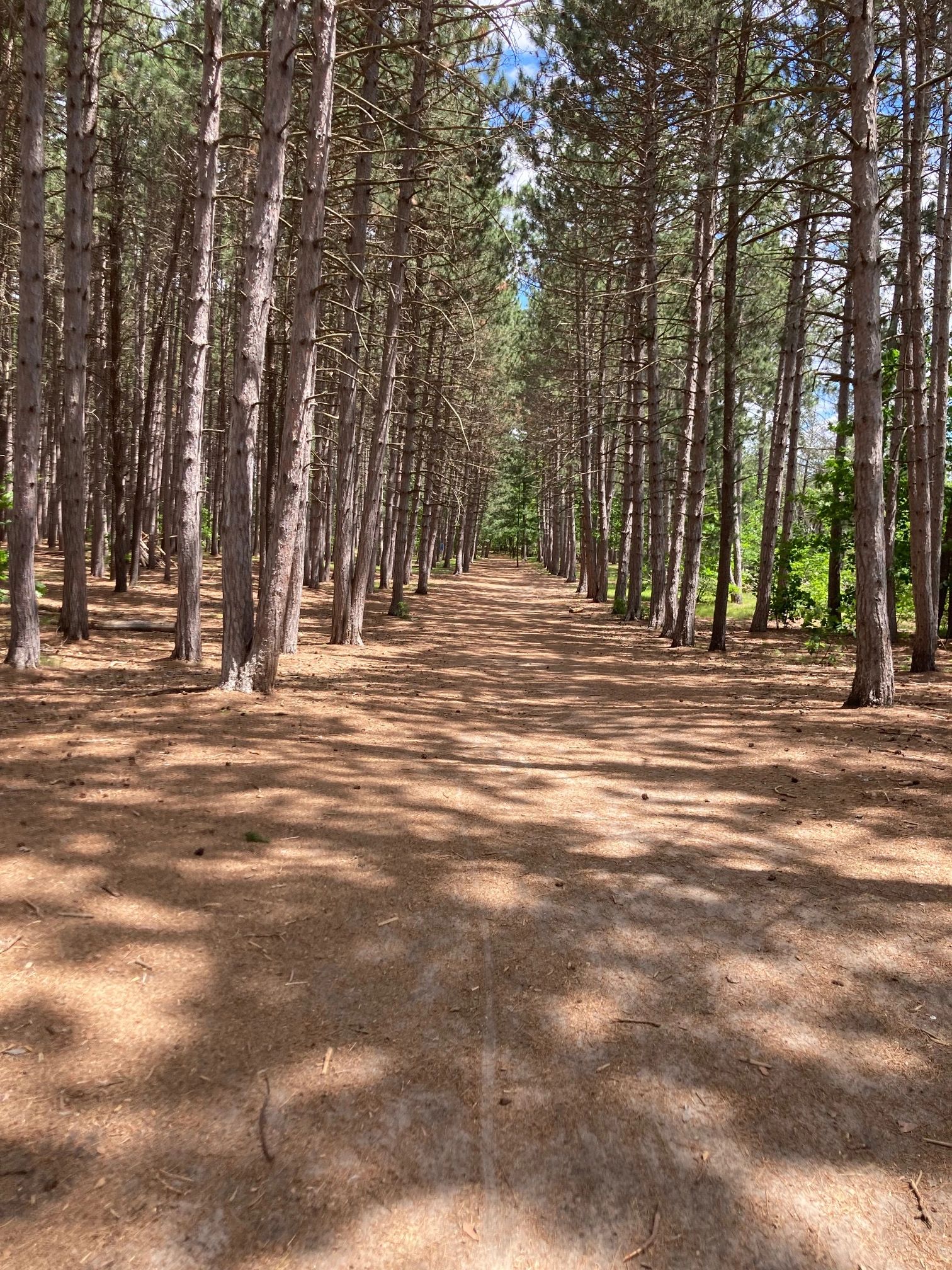 Breaking Through Coaching