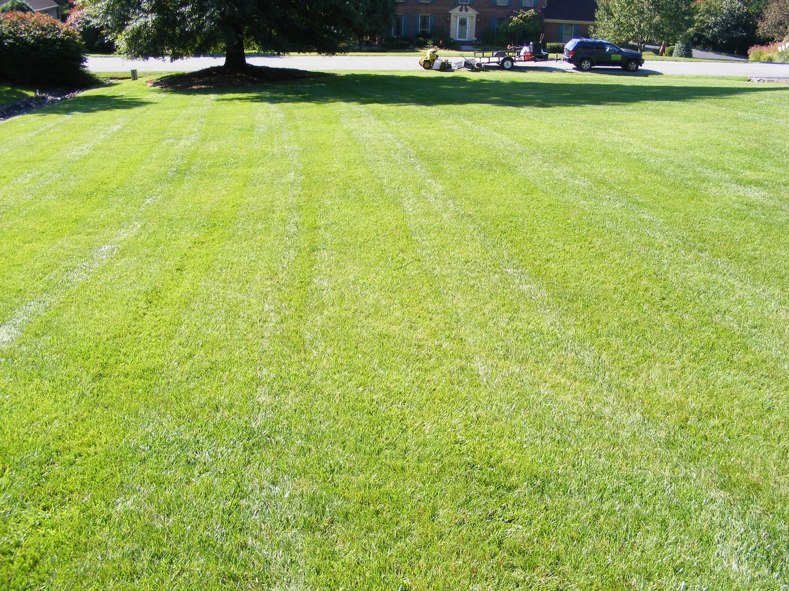 Spring Lawn Care