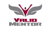 Valid Mentor