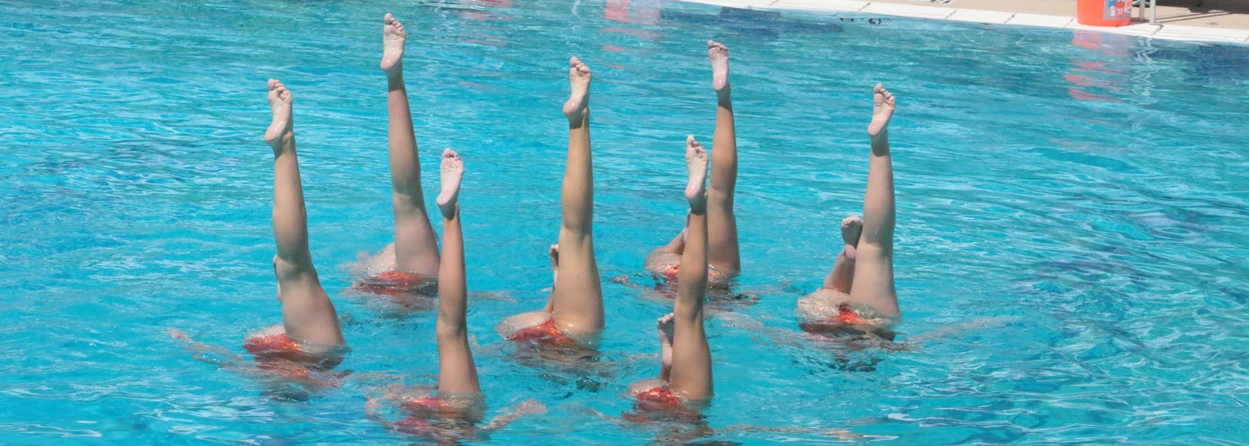 Synchronized Swimming Arizona Desert Dolphins