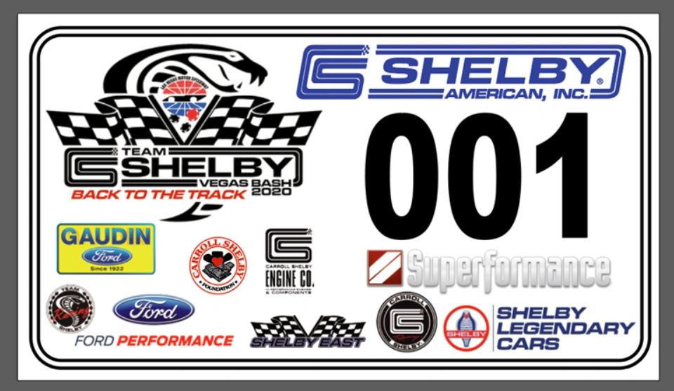 2020 Team Shelby Bash Door Decal Set