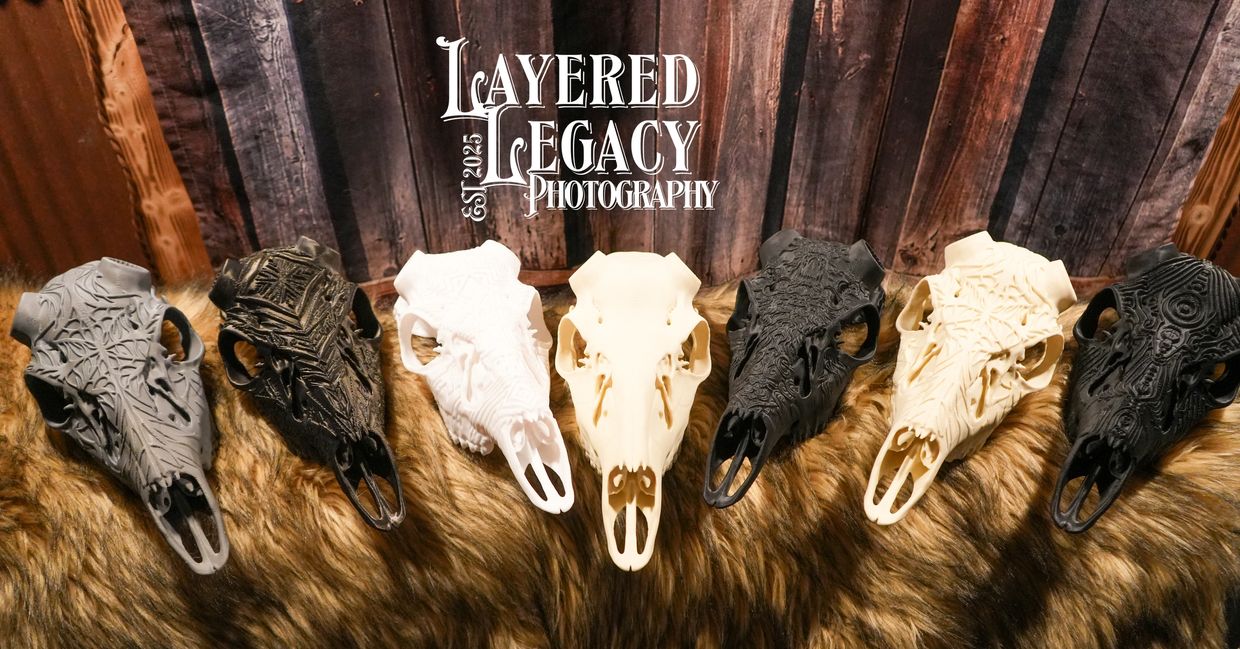 A group of 3d printed whitetail euro mounts