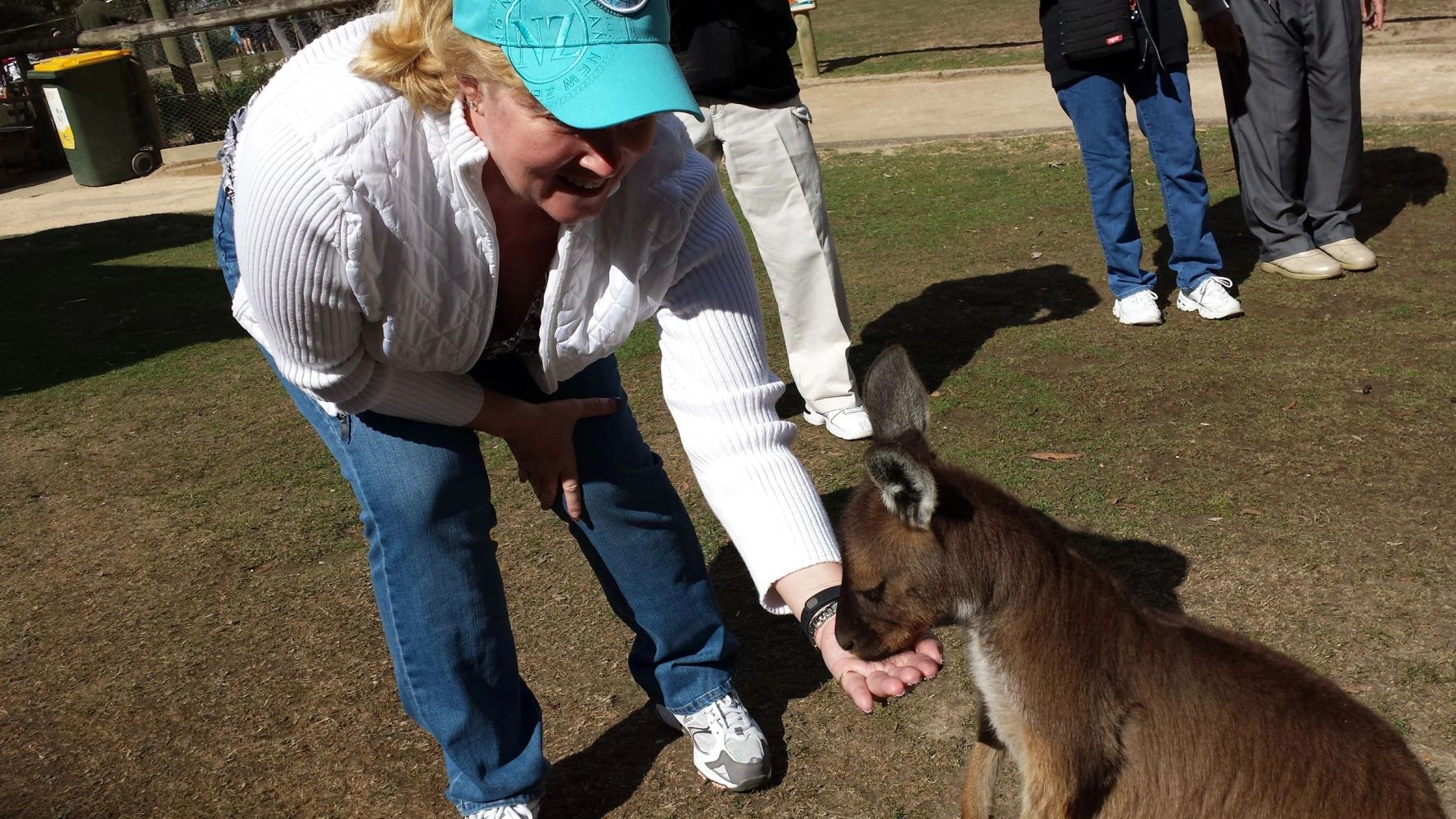 Nola feeding a Wallabee in Australia.