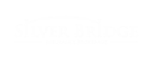 Silver Bridge