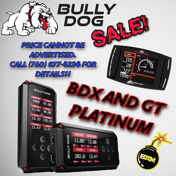 Bully Dog Sale Flyer