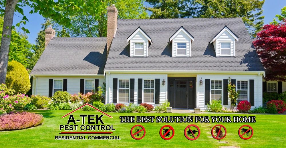 Atek Pest Control Inc - Pest Control in Miami