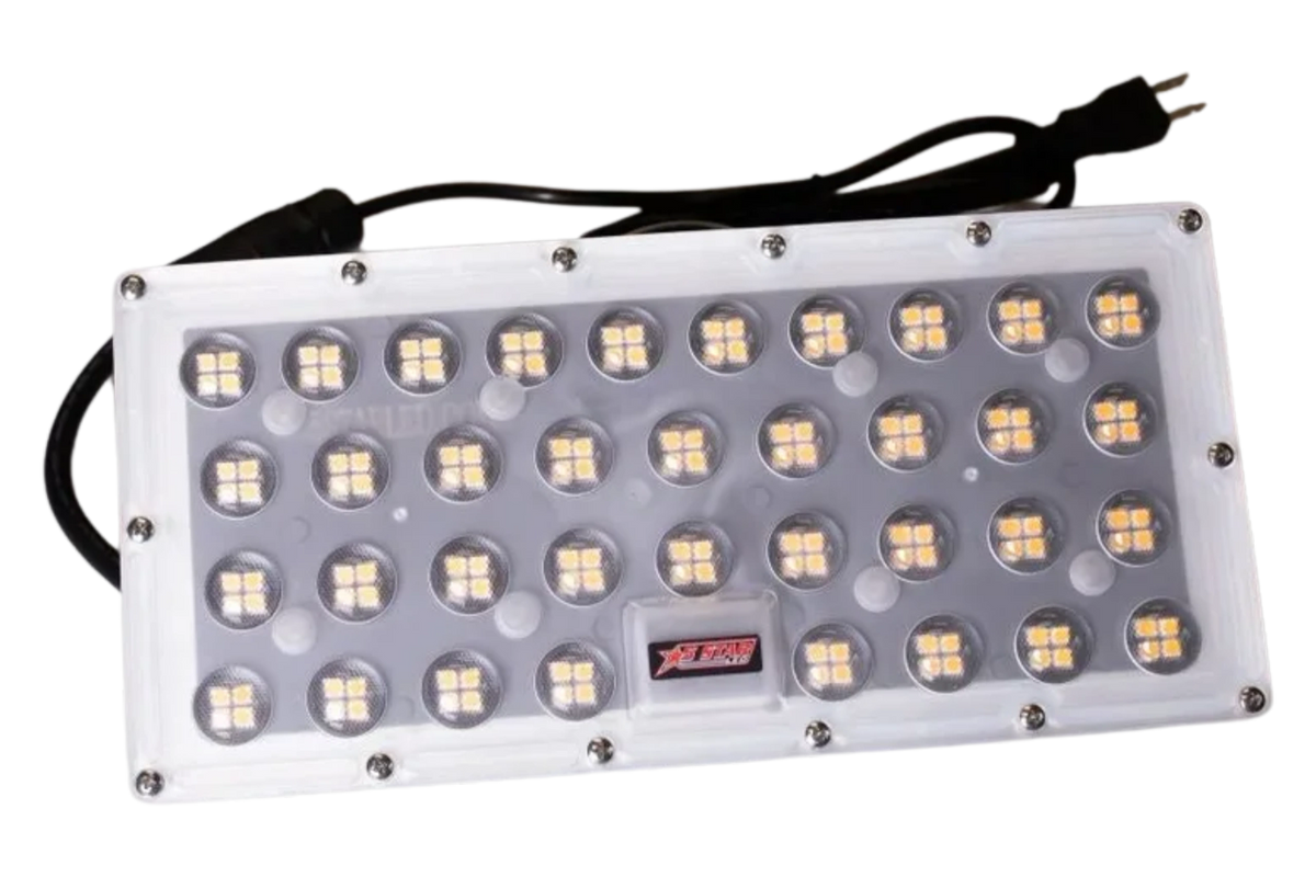 Custom fitz led - The sale has started 100w led bowfishing