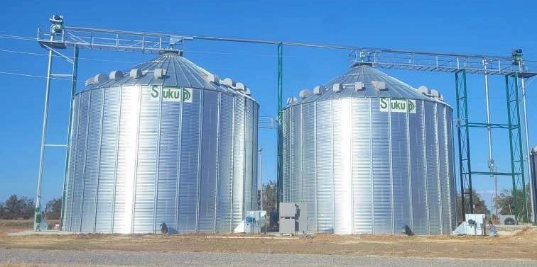 Two bin grain storage 
