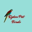 Dyker Pet Birds
