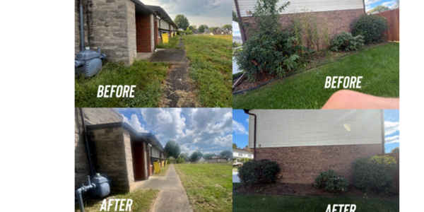 Before and after images of outdoor landscaping cleanup.