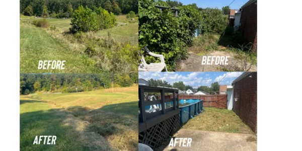 Before and after yard cleanups showing cleared and maintained outdoor spaces.