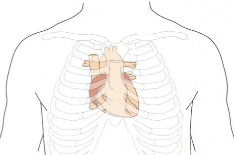 Procedures Minimally Invasive Heart Procedures Minimally Invasive Heart