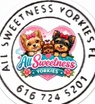 All sweetness yorkies