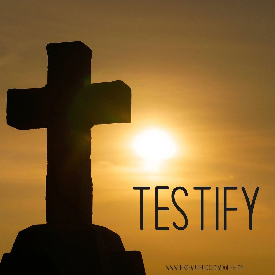 Testify Testify