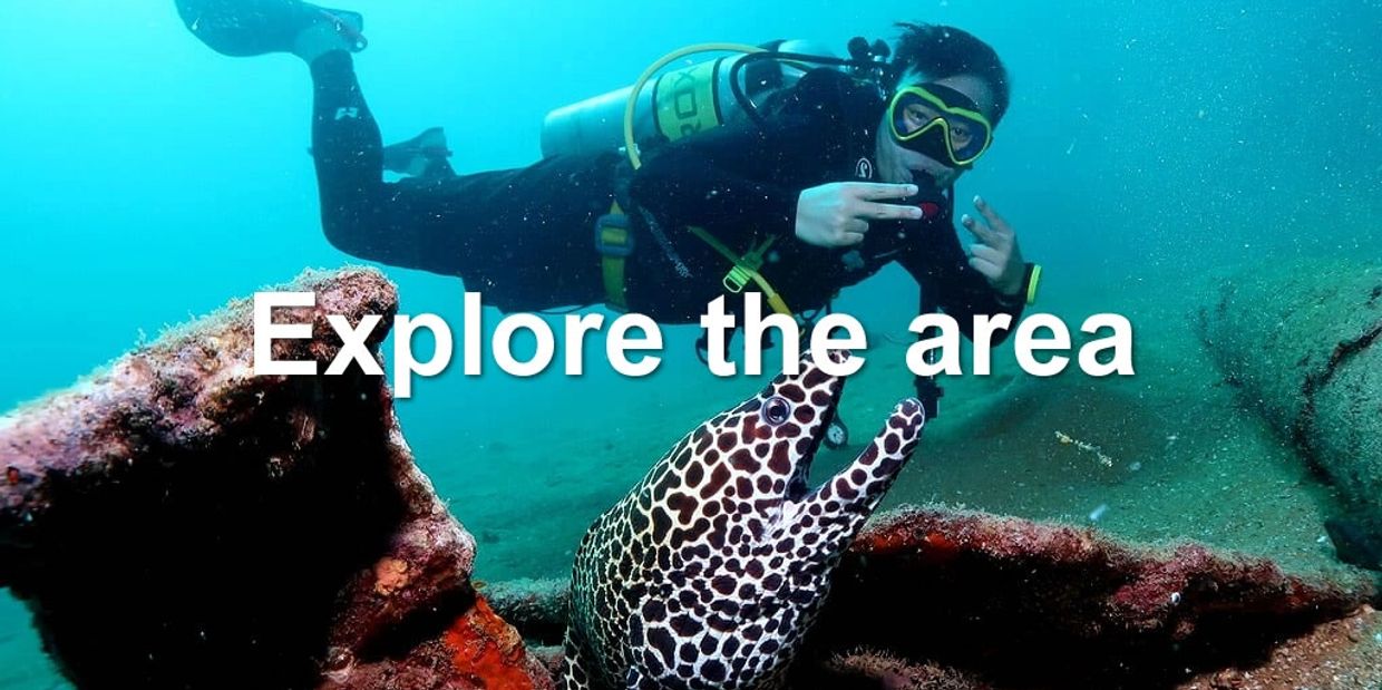 A scuba diver exploring the sea off the Costa Blanca near Ciudad Quesada 03170 Spain 