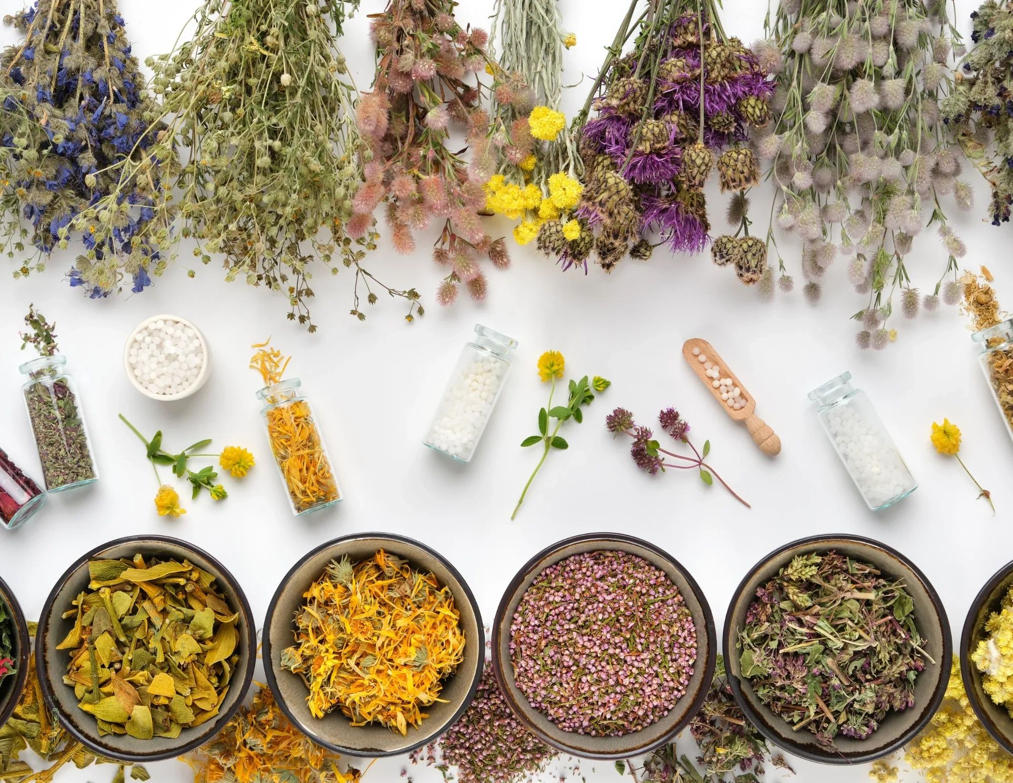 Charlene Wang Wellness