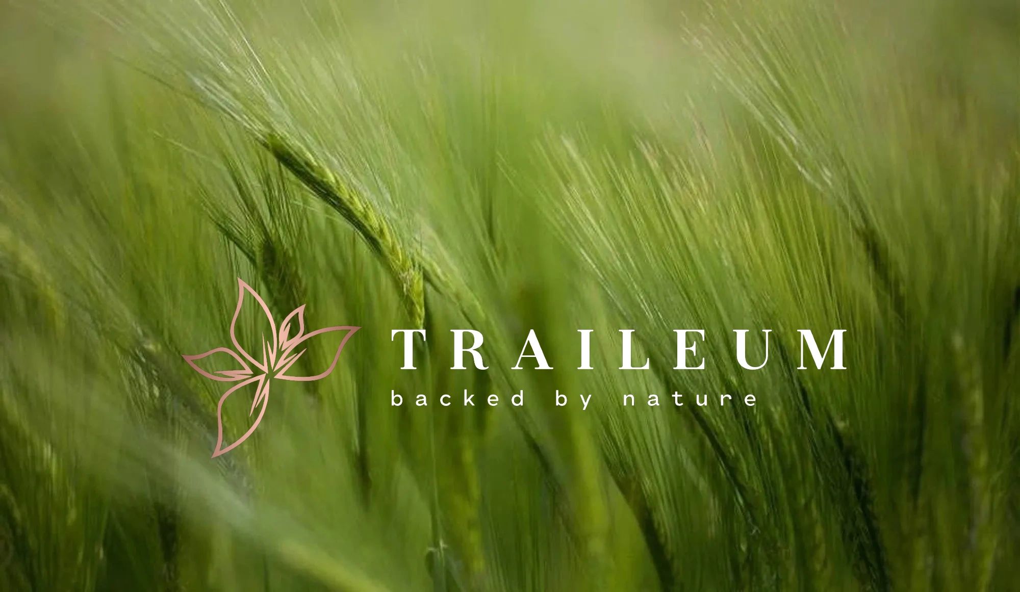 Traileum Cryptocurrency And Biodiversity Coinmarket Crypto traileum-cryptocurrency-and-biodiversity-coinmarket-crypto