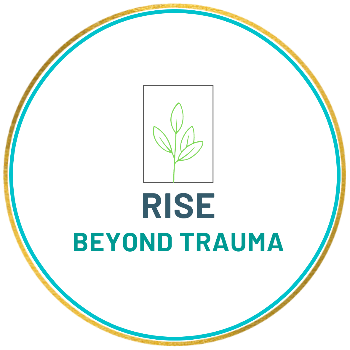 Rise Beyond Trauma Counseling Services Los Angeles