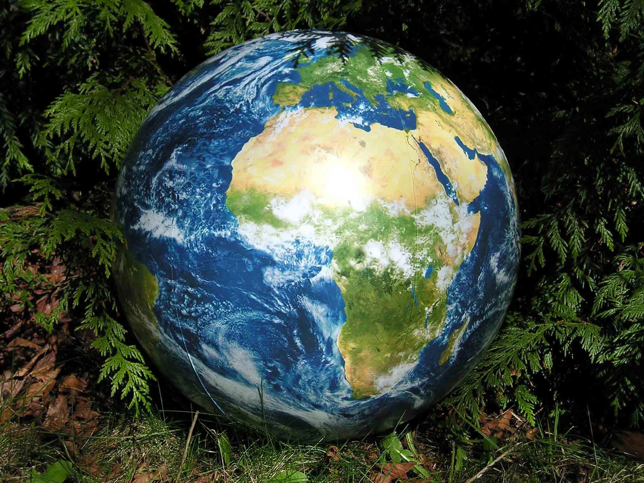 Шар в виде земли. Земной шар. Планета земля Глобус. Большой земной шар. Мяч земной шар\.