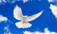 Eyes on God International Fellowship of Ministries