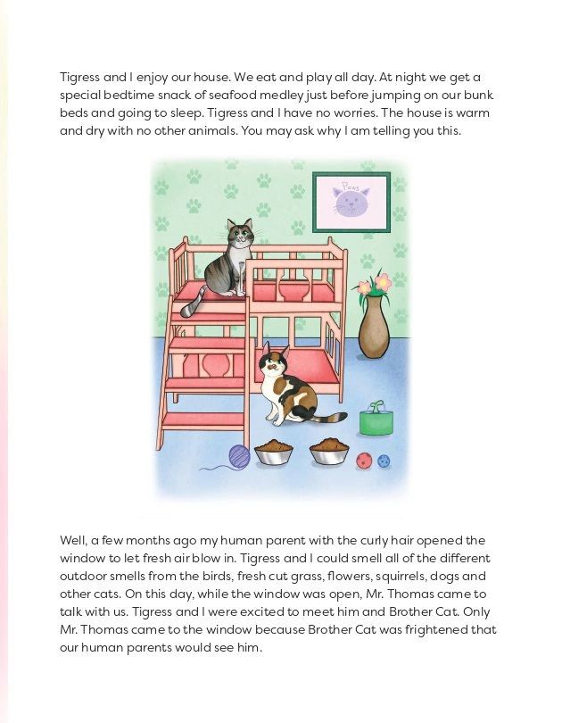 Inside The Backyard story