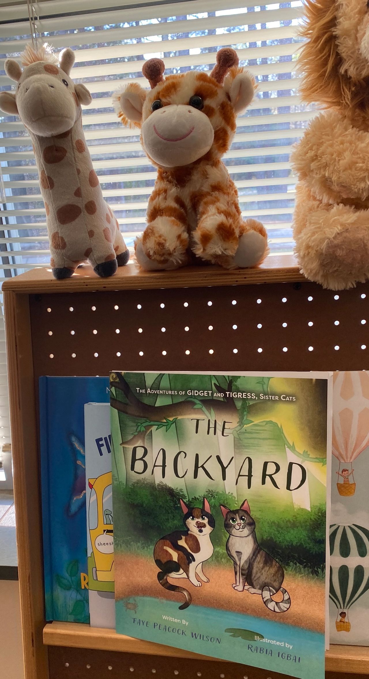 The Backyard on the classroom shelf