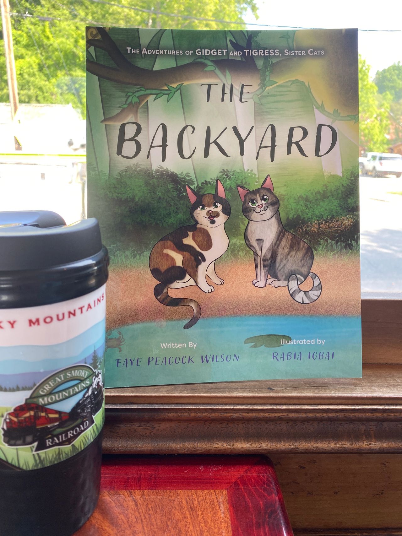 The Backyard book as our train left the train depot in Bryson City, NC. 