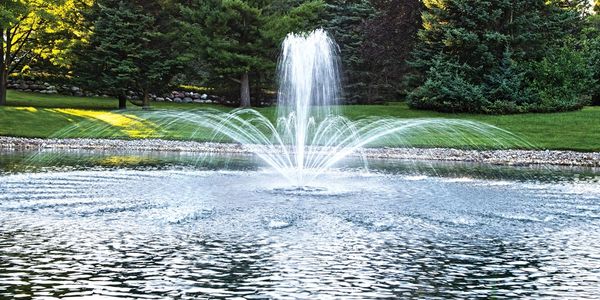 Pond & Water Features