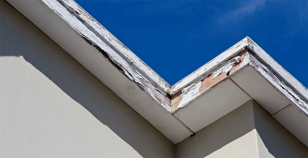 Damage fascia