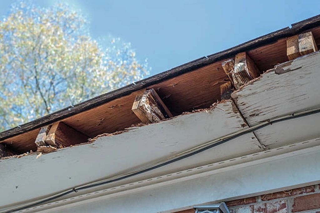 Damage Fascia 