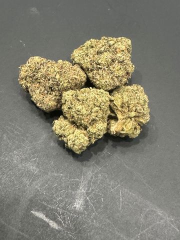 Candy Bezel (Hybrid) Premium Flower picture.