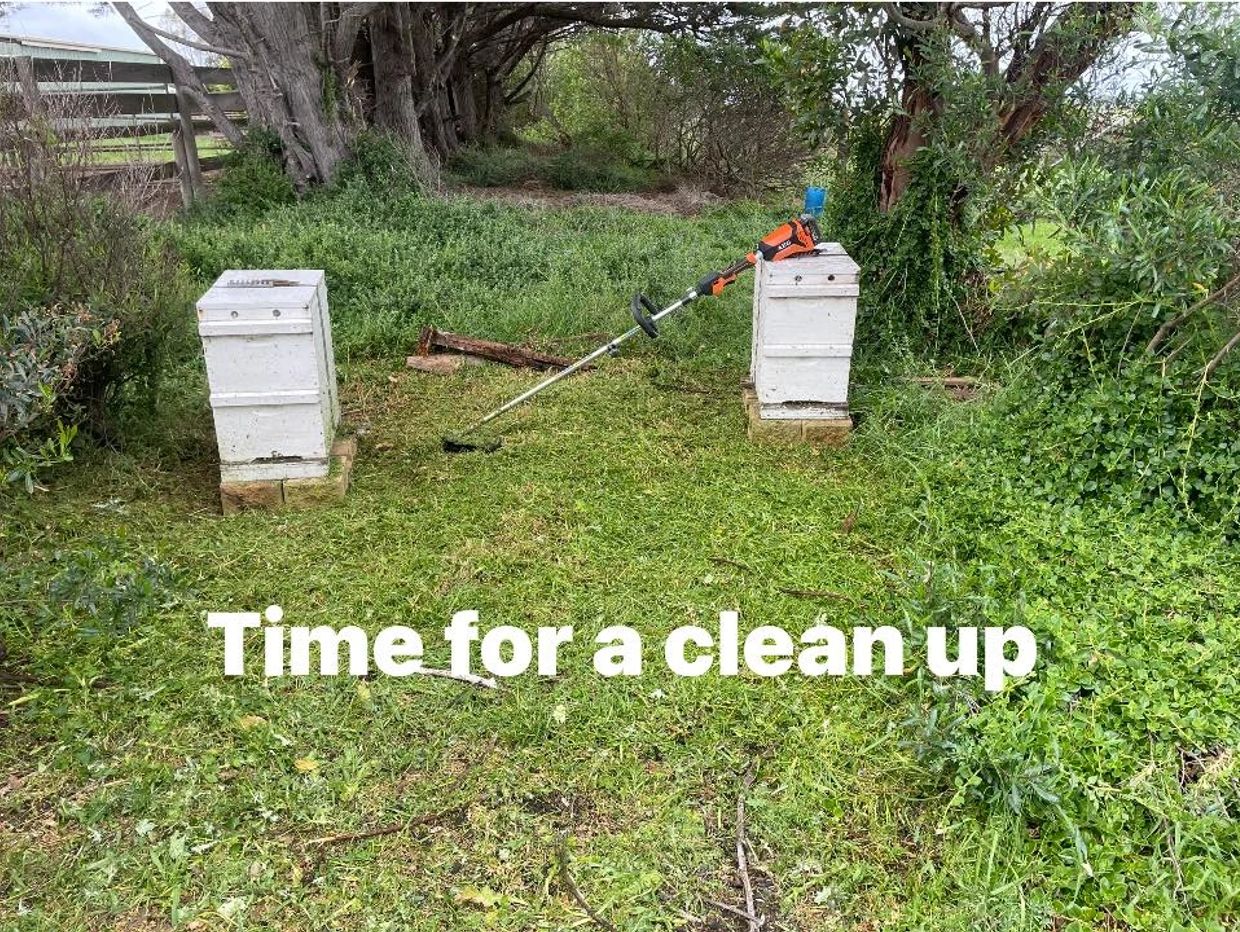 A lawn trimmer rests between two white beehives on freshly cut grass.