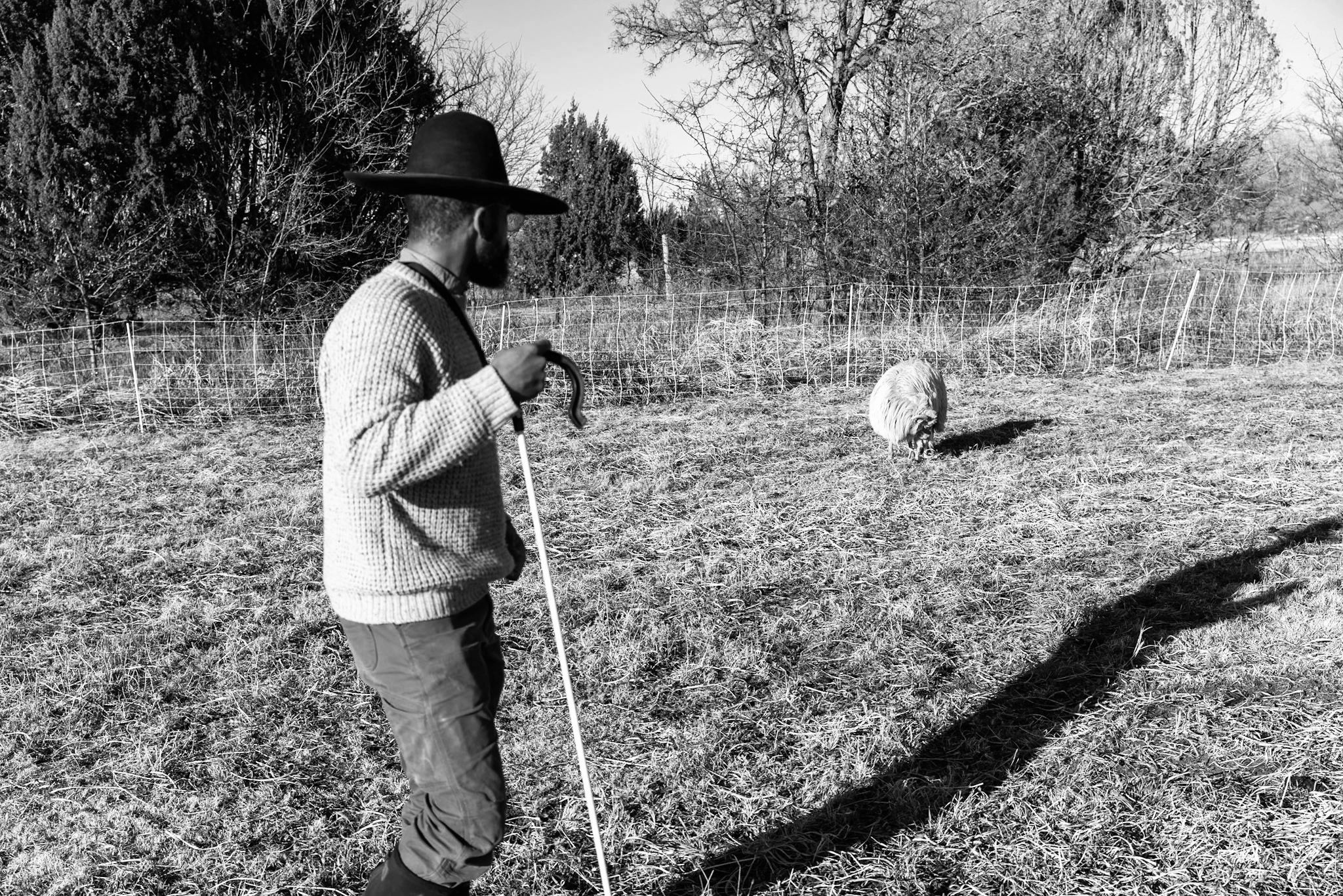 What Role to Society Does the Rancher Play?
