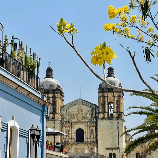 Go to Gender Based Analysis report for Oaxaca