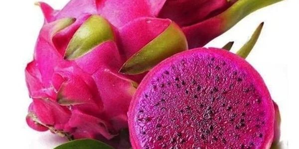 A vibrant dragon fruit with bright pink skin and speckled magenta flesh.