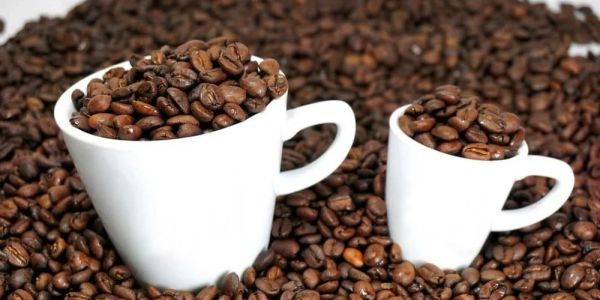 Two white cups filled with coffee beans surrounded by more beans.