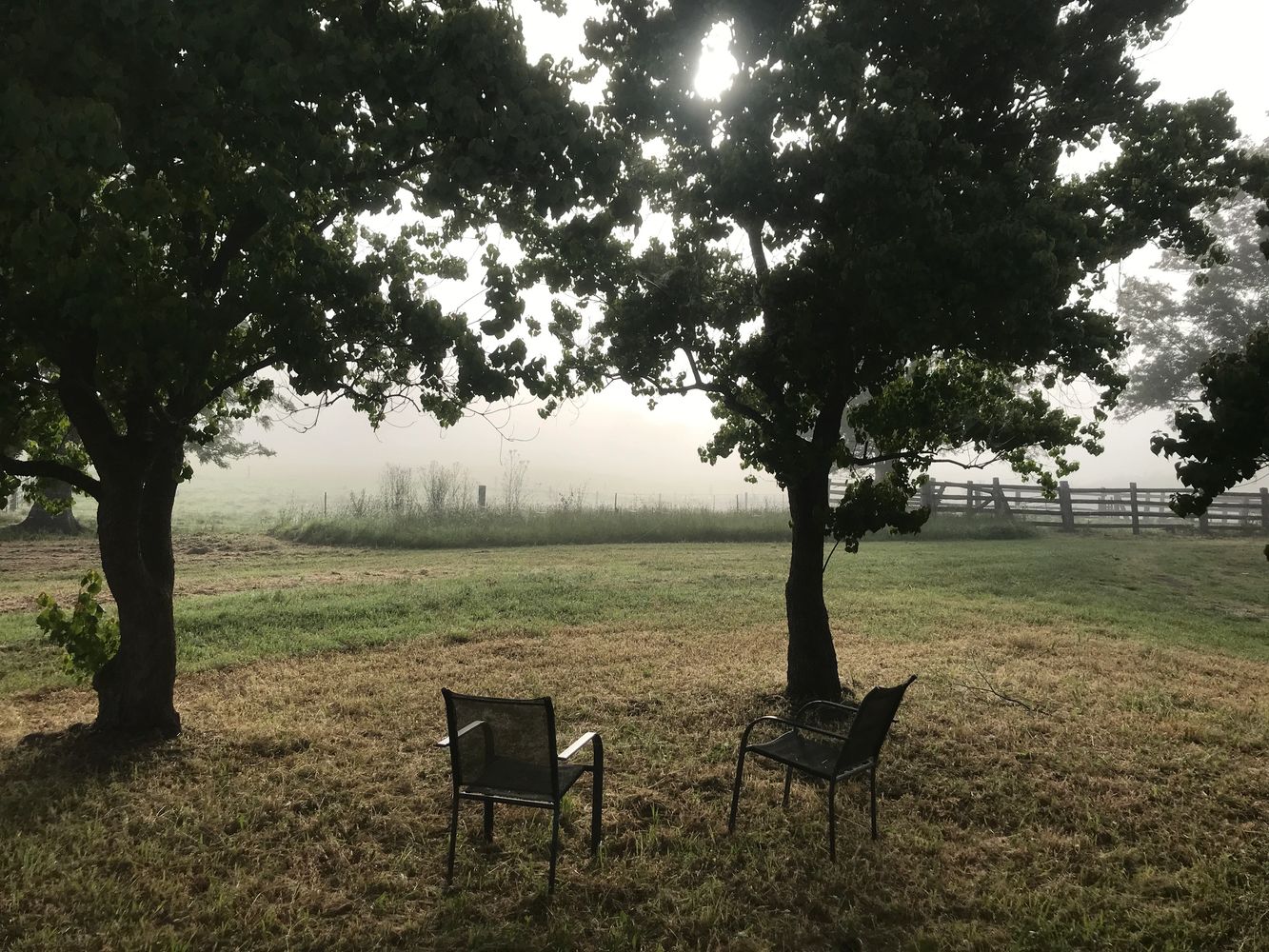 Two chairs waiting for the next conversation under two trees overlooking a farm thick with fog 