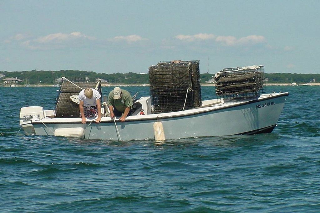 Offshore Aquaculture Research and Education.
