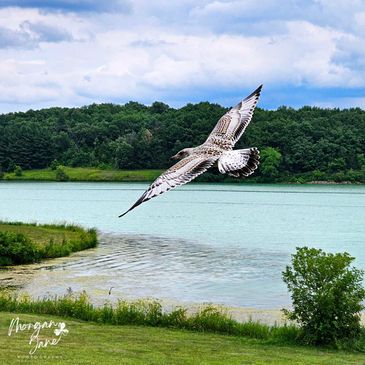 Blackhawk Lake - Photo credit Morgan Jane Photography