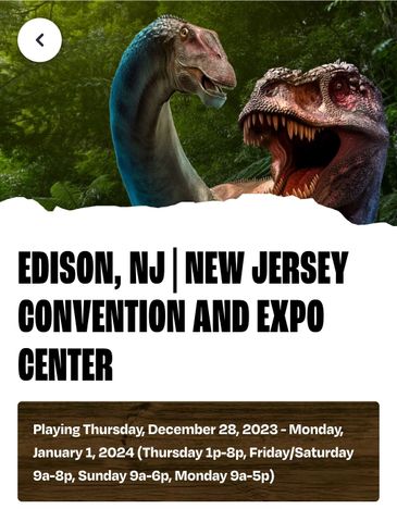 Empanadas - stellasempanadas