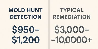 black mold, mold inspection,mold dog, canine mold detection, mold inspection near me, mold detection