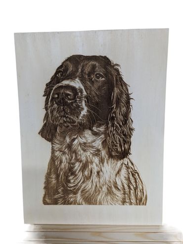 Spaniel dog laser engraved onto wood