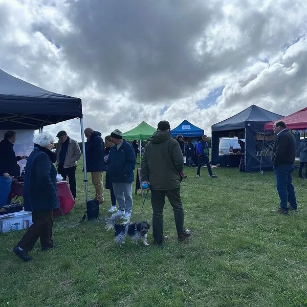 Field market event with gazebos and people milling about, with a dog on a lead at the forefront.