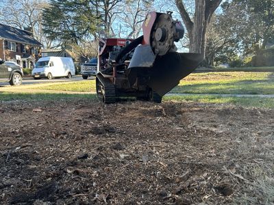 Stump grinder clearing a tree stump in suburban yard with wood chips and grinding debris visible