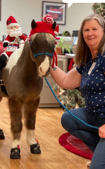 Miniature horse with costume , mini horse with costume, miniature horse, Christmas party, Christmas 