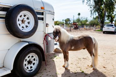 Gentry and his horse trailer.