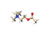 Acetylcholine