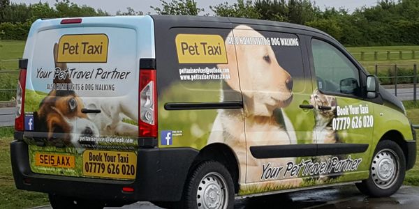 Pet Taxi