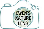 Gwen's Nature Lens



